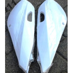 Cross rear side fairings 125cc 250cc monster