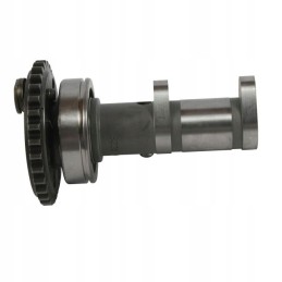 Camshaft hot cams exhaust yamaha yfz 450r 09 20