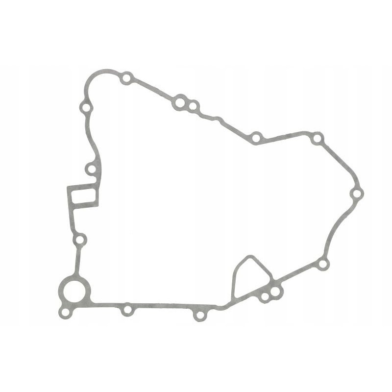 Alternator cover gasket