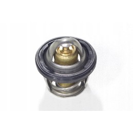 Terostat ATV Alaska 300 cooling control valve