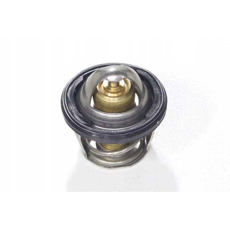 Terostat ATV Alaska 300 cooling control valve