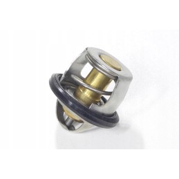 Terostat ATV Alaska 300 cooling control valve