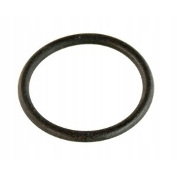 Oring mz etz 150 small