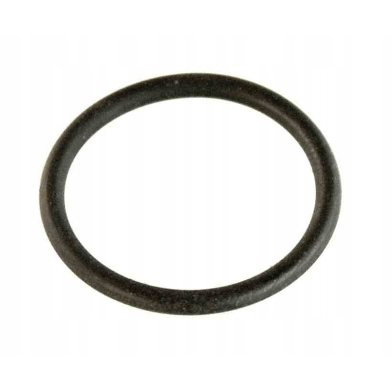 Oring mz etz 150 small