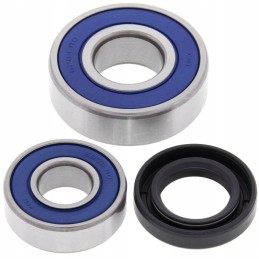 All balls front wheel bearings Polaris Ace 150 17 21