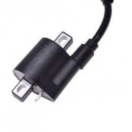 Cf moto 500 allroad ignition coil with snorkel