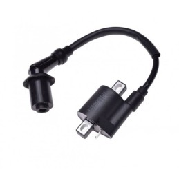 Cf moto 500 ignition coil with snorkel