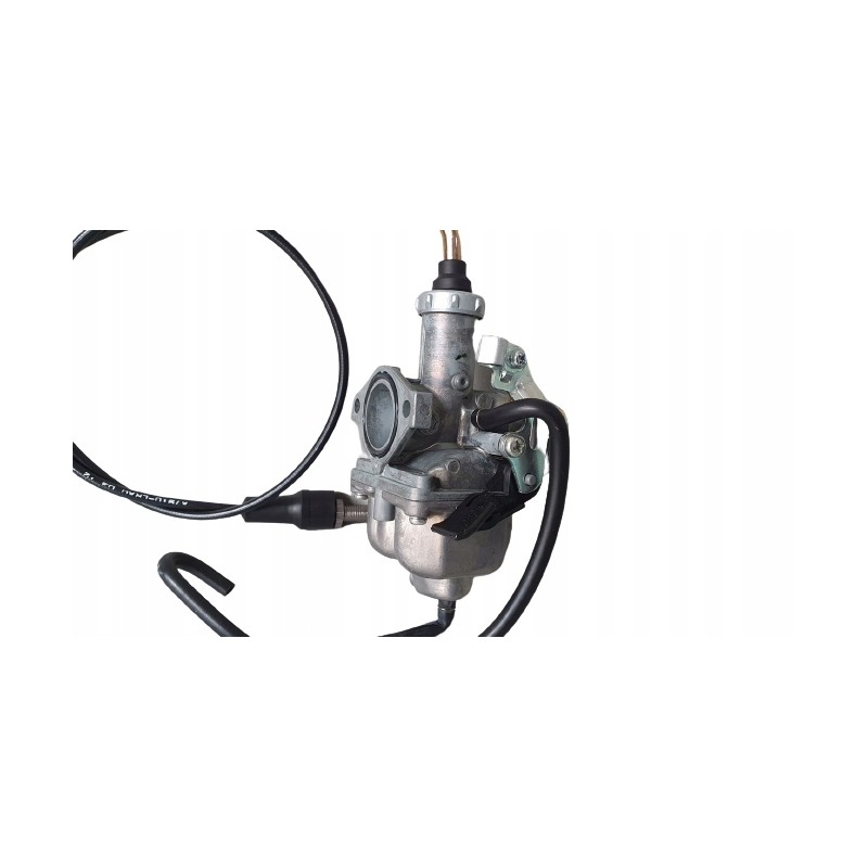 Can am ds 250 carburetor