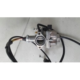 Can am ds 250 carburetor
