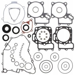 Winderosa vertex set of gaskets with seals