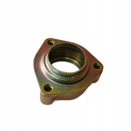 Buggy rear axle hub