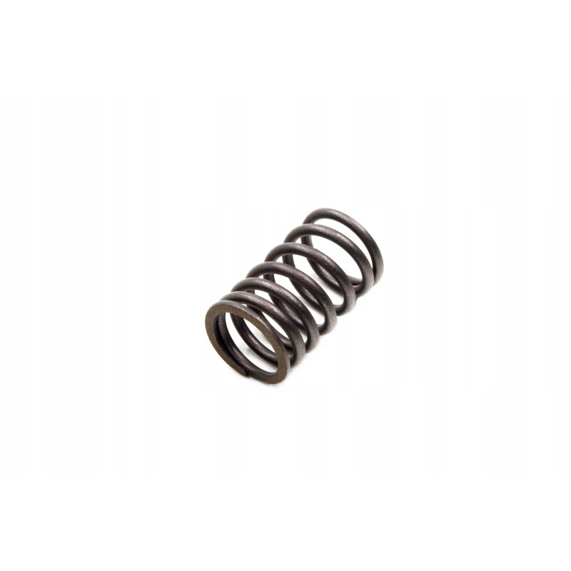 Valve spring gy 6 50 4t 139qmb external ben