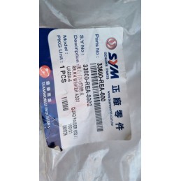 Turn signal quad sym quadrider 600