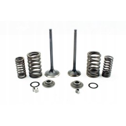 Engine valves set zs169 fmm cross cb250 loncin