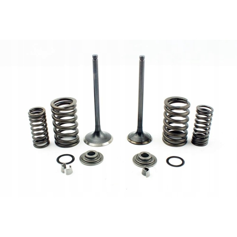 Engine valves set zs169 fmm cross cb250 loncin