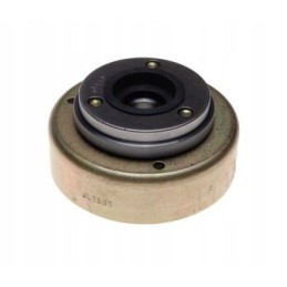 Atv 110 125 magnetic wheel magneto bendix set