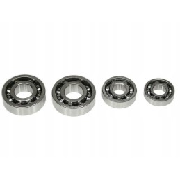 Bearings for the ATV 110 quad engine set
