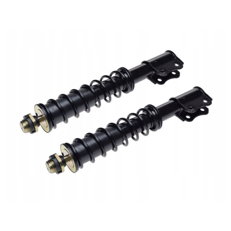 Front shock absorber LP for ATV Bashan, set