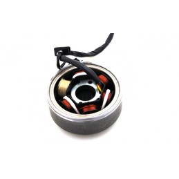 Igniter with magnet for ATV 110 stator magneto