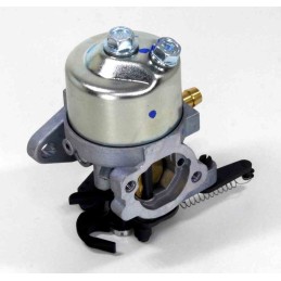 Carburetor for Briggs Stratton 700 750 dov lawn mower
