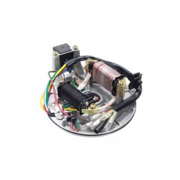Ignition device stator cross 125 2 bri coils