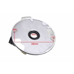 Ignition device stator cross 125 2 bri coils