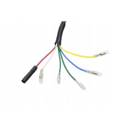 Ignition device stator cross 125 2 bri coils