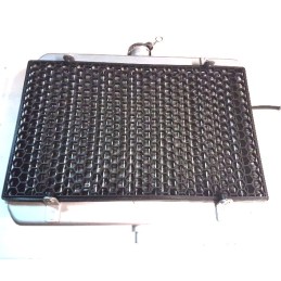 Cf moto 500 complete radiator fan