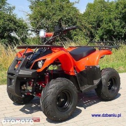 Electric quad indicator 36v 48v