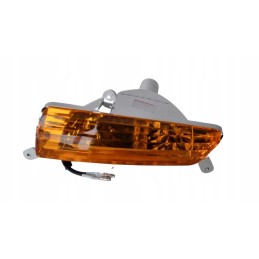 Turn signal quad dinli centor masai dominator
