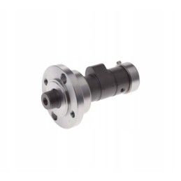 Camshaft for ATV Bashan Loncin 250
