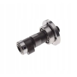 Camshaft atv bashan 250 300 loncin