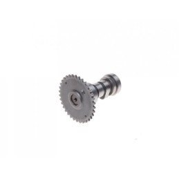 Atv 150 gy6 camshafts