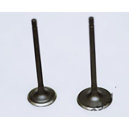 Quad eagle lyda 250 exhaust intake valves new