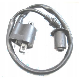Ignition coil cf moto 500 allroad