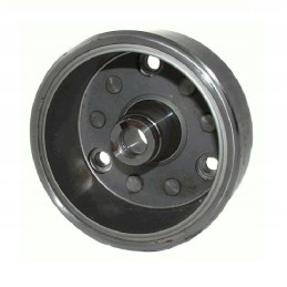 Magneto flywheel atv 250 rob