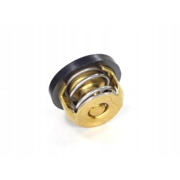 Thermostat atv 200 bashan nevada