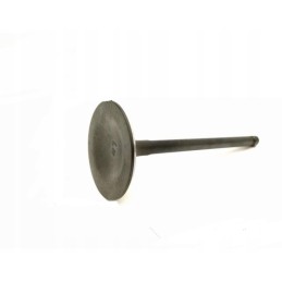Linhai 400 hytrack intake valve