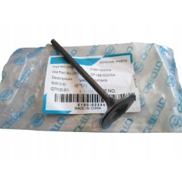 Intake valve cf moto allroad 500