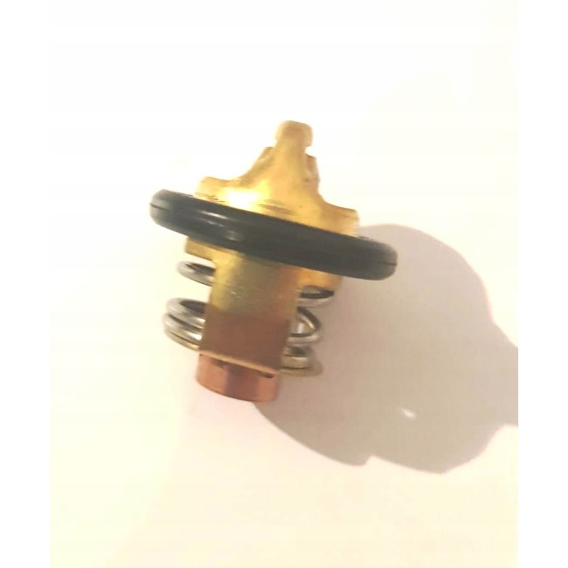 Thermostat cf moto 500 allroad