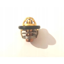 Thermostat cf moto 500 allroad