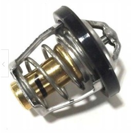 Thermostat cf moto allroad 800