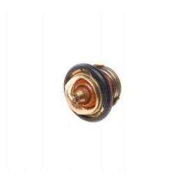 Thermostat for beyond 260 atv
