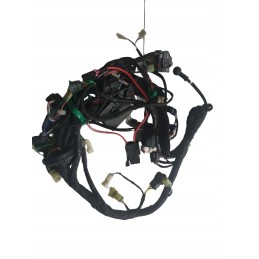 Dinli wiring harness