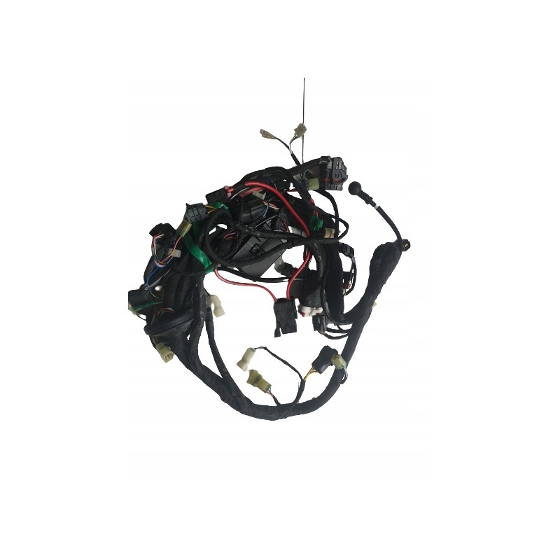 Dinli wiring harness