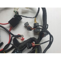 Dinli wiring harness