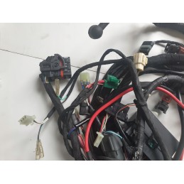 Dinli wiring harness
