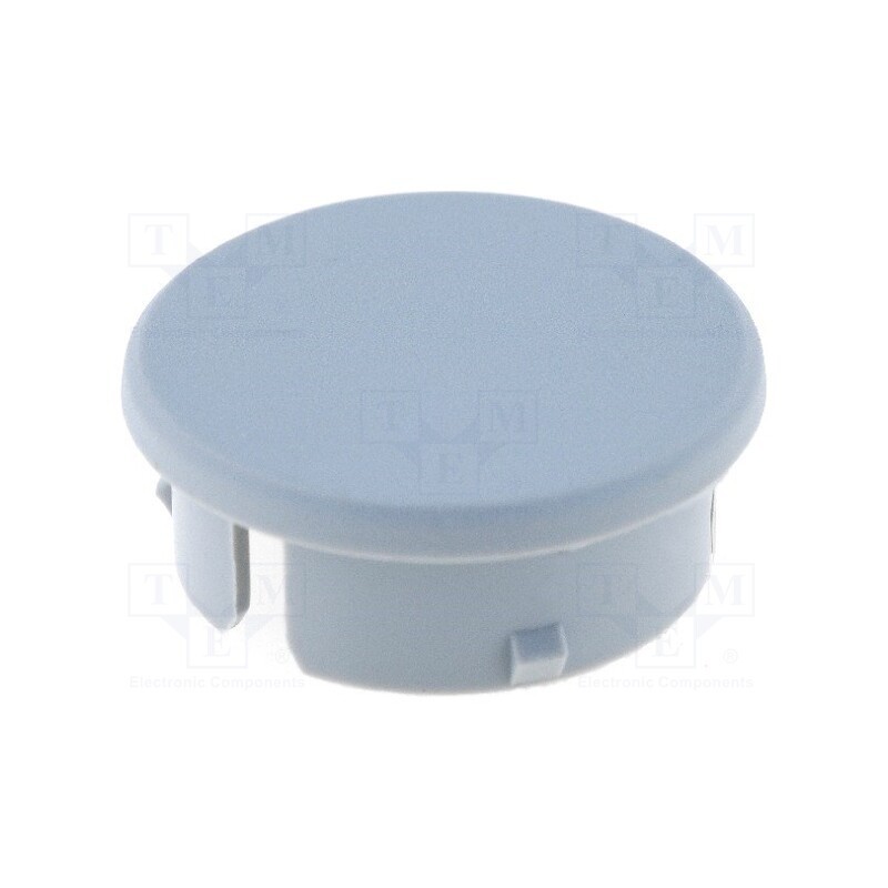 5 pcs x RITEL - 3021101 - Cap, polyamide, grey, -20÷70°C, G21