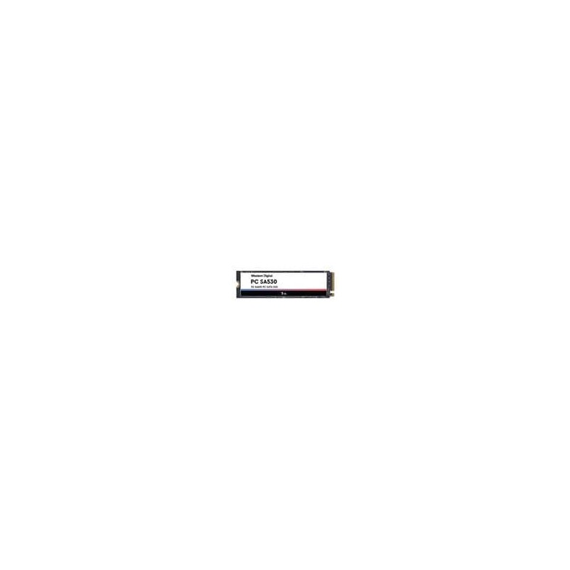 1 pcs : SDATN8Y-1T00 - Solid State Drives - SSD 1TB M.2 2280 SATA 1TB M.2 2280 SATA
