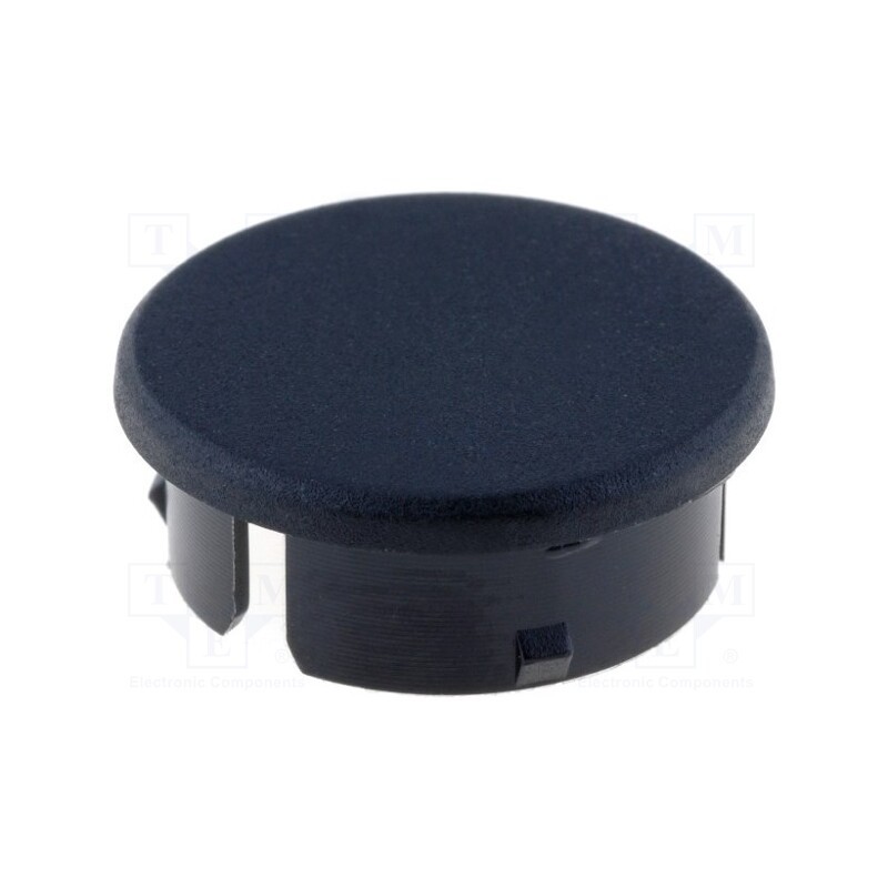 5 pcs x RITEL - 3021103 - Cap, polyamide, black, -20÷70°C, G21